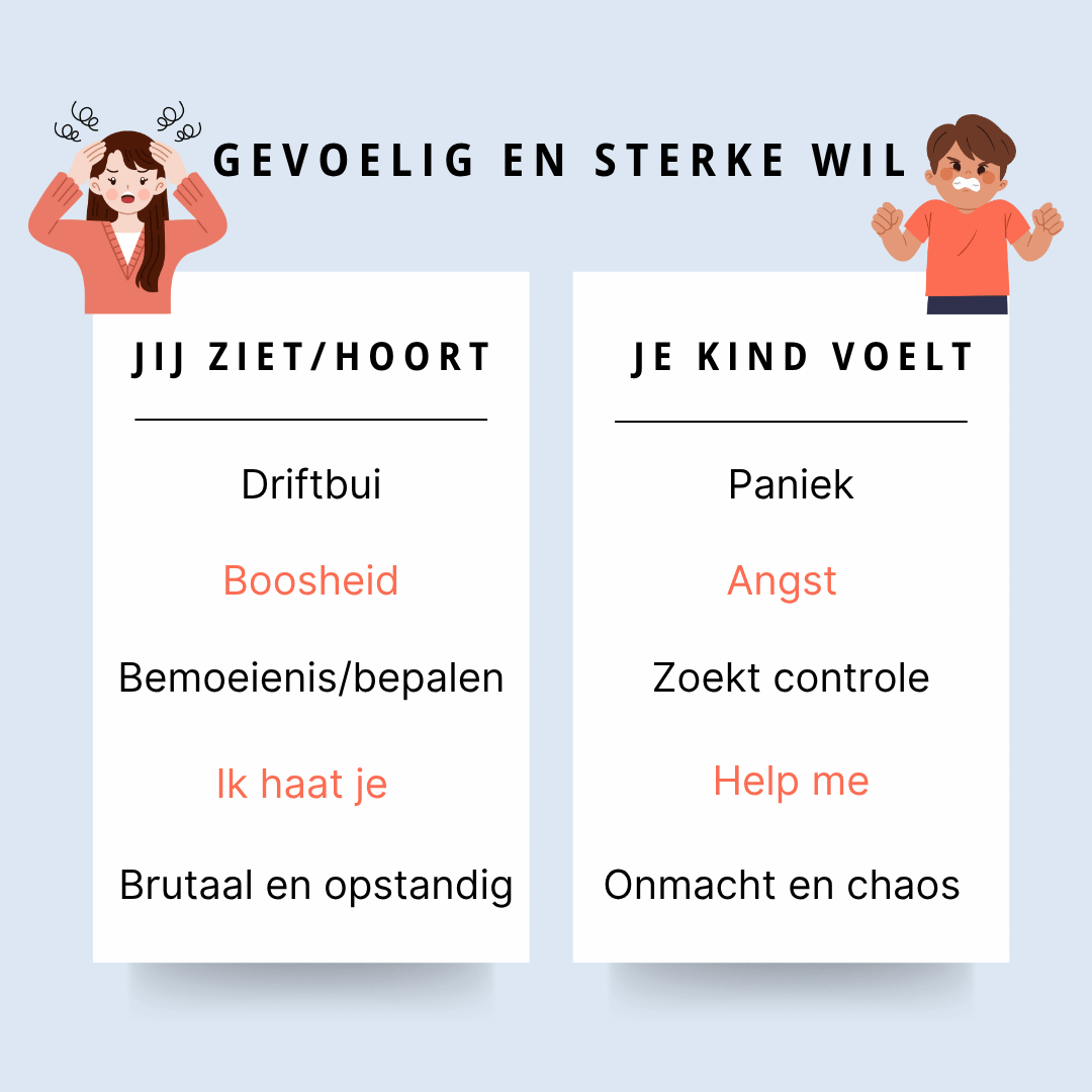 Visuals - Workshop Gevoelige kinderen - 2025-06-09T095803.875