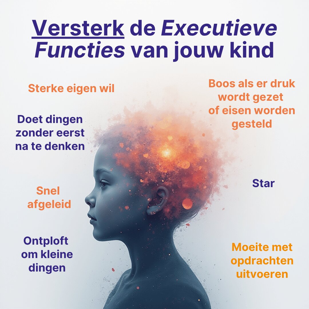 Visuals - workshop EF (14)