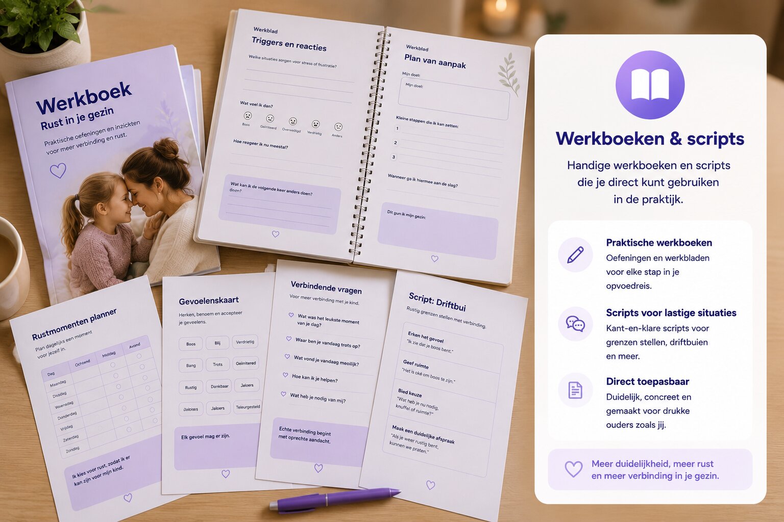 Werkboeken en scripts
